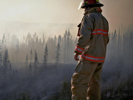 The Air We Breathe During LA Fires: What Pregnant Women Need to Know