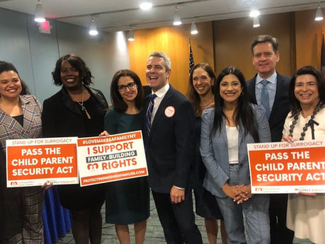 A defining moment in history: New York legalizes gestational surrogacy