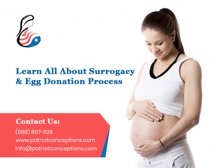Learn All About Surrogacy & Egg Donation Process