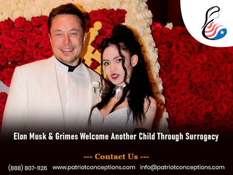 Elon Musk & Grimes Welcome Another Child Through Surrogacy